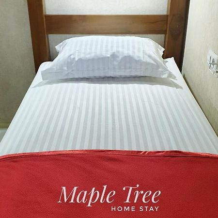 Maple Tree Homestay Maguwo Extérieur photo