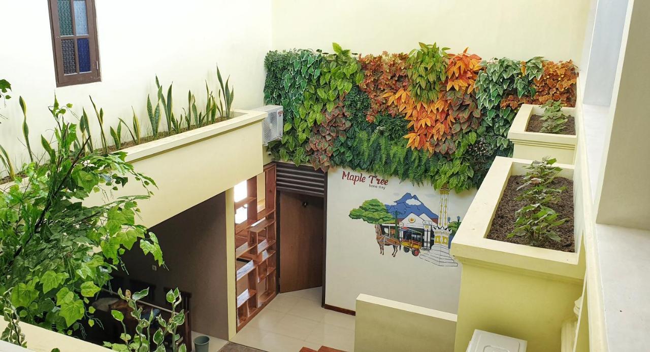 Maple Tree Homestay Maguwo Extérieur photo