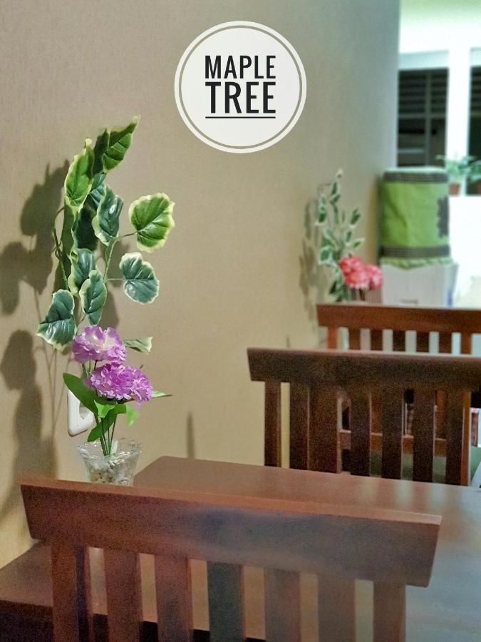 Maple Tree Homestay Maguwo Extérieur photo
