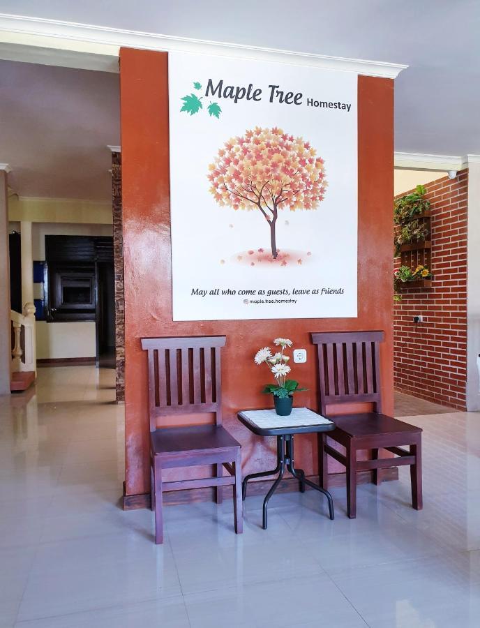 Maple Tree Homestay Maguwo Extérieur photo