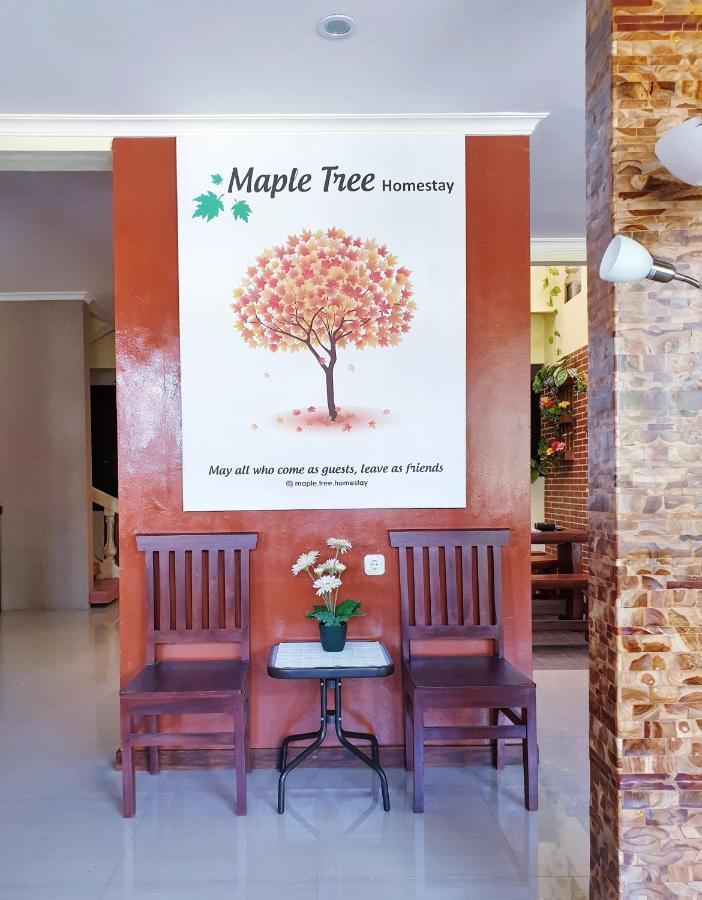 Maple Tree Homestay Maguwo Extérieur photo